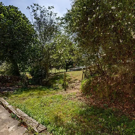 Kır Evi Casa Da Penela