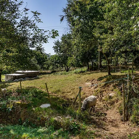 Kır Evi Casa Da Penela