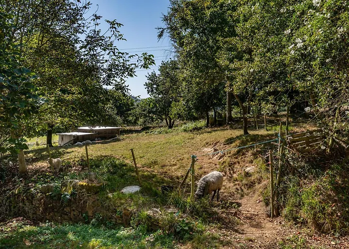 Casa Da Penela Mondoñedo