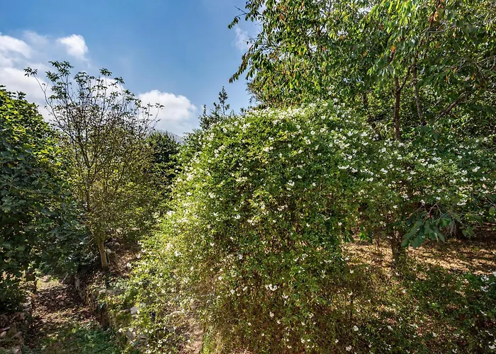 Casa Da Penela Séjour à la campagne
